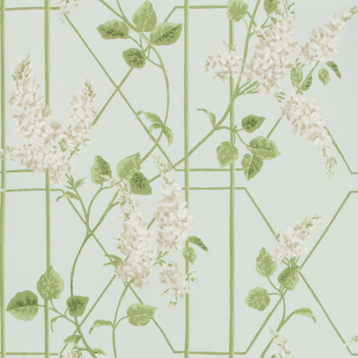 COLE & SON - WISTERIA- STONE/OLIVE/D EGG - Wallcovering by the Roll STONE/OLIVE/D EGG