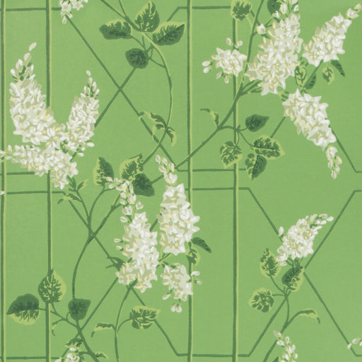COLE & SON - WISTERIA- SAGE/LEAF GREEN - Wallcovering by the Roll SAGE/LEAF GREEN