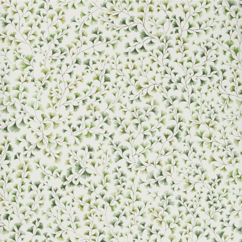 COLE & SON - MAIDENHAIR- OLIVE - Wallcovering by the Roll OLIVE