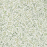 COLE & SON - MAIDENHAIR- OLIVE - Wallcovering by the Roll