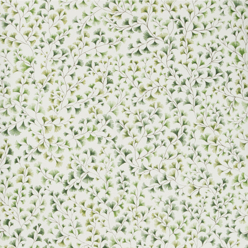 COLE & SON - MAIDENHAIR- OLIVE - Wallcovering by the Roll OLIVE
