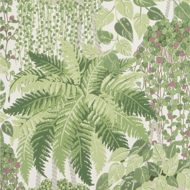 COLE & SON - FERN- LEAF GREEN AND OLIVE - Wallcovering by the Roll LEAF GREEN AND OLIVE