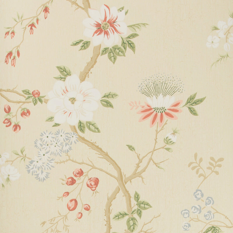 COLE & SON - CAMELLIA- CORAL/SAGE/BUTTERC - Wallcovering by the Roll CORAL/SAGE/BUTTERC
