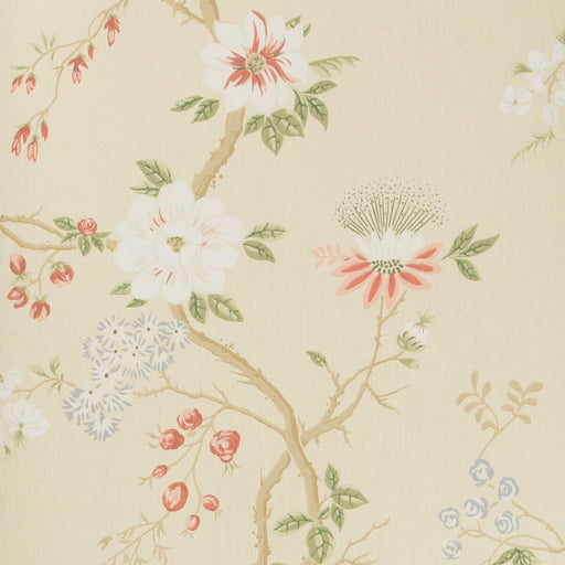 COLE & SON - CAMELLIA- CORAL/SAGE/BUTTERC - Wallcovering by the Roll CORAL/SAGE/BUTTERC