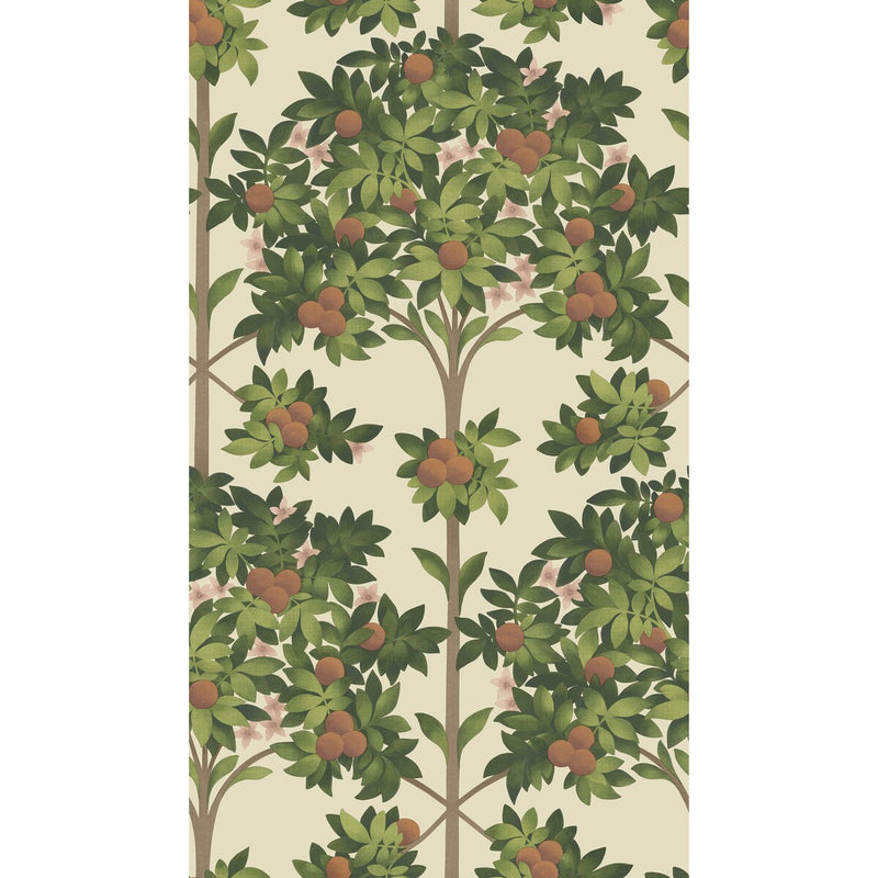 COLE & SON - ORANGE BLOSSOM- ORANGE & SPRING GREEN/PARCH - Wallcovering by the Roll ORANGE & SPRING GREEN/PARCH