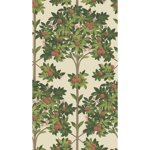 COLE & SON - ORANGE BLOSSOM- ORANGE & SPRING GREEN/PARCH - Wallcovering by the Roll ORANGE & SPRING GREEN/PARCH