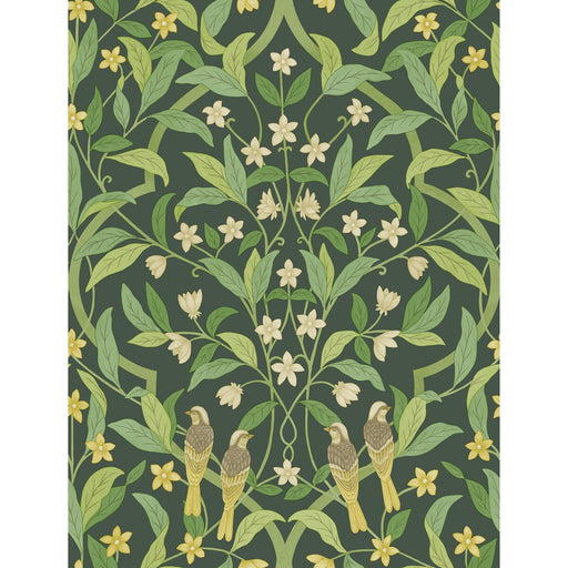 COLE & SON - JASMINE & SERIN SYMPHONY- YELLOW/GRN/FOREST - Wallcovering by the Roll YELLOW/GRN/FOREST