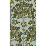 COLE & SON - ORANGE BLOSSOM- LEMON/DK OLIVE GRN/DUCK EGG - Wallcovering by the Roll