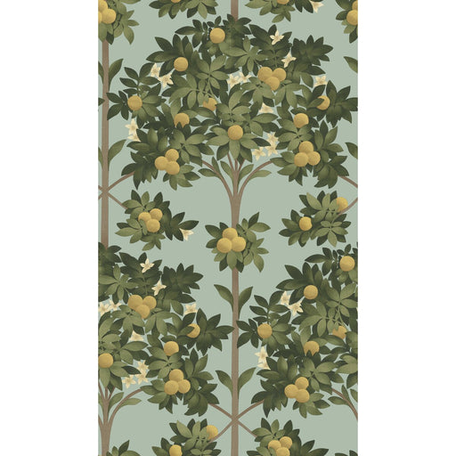 COLE & SON - ORANGE BLOSSOM- LEMON/DK OLIVE GRN/DUCK EGG - Wallcovering by the Roll LEMON/DK OLIVE GRN/DUCK EGG