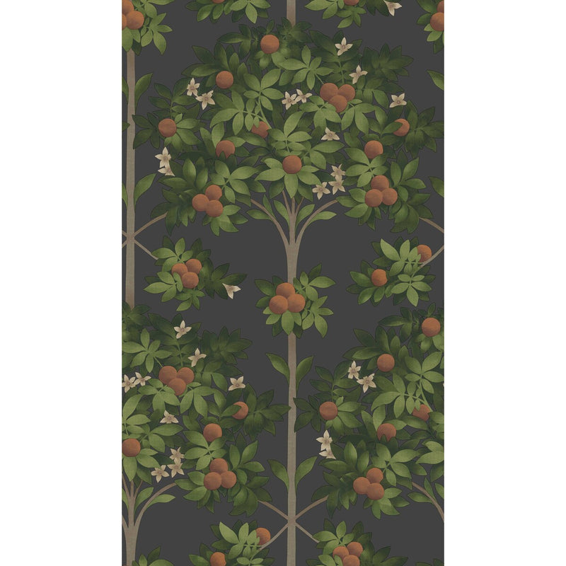 COLE & SON - ORANGE BLOSSOM- ORANGE & SPRING GREEN/BLACK - Wallcovering by the Roll ORANGE & SPRING GREEN/BLACK