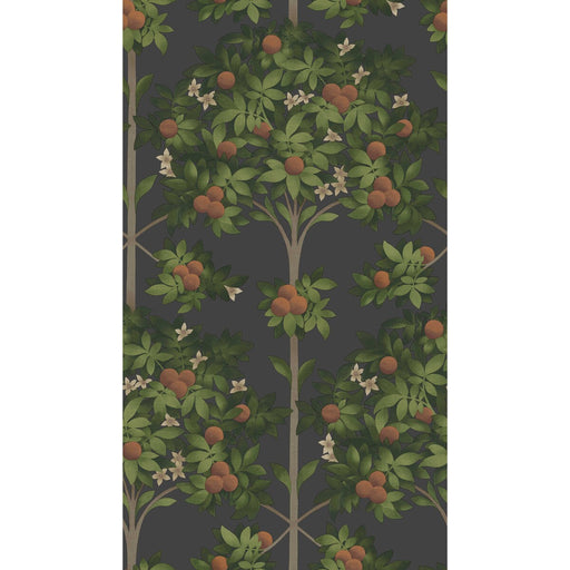 COLE & SON - ORANGE BLOSSOM- ORANGE & SPRING GREEN/BLACK - Wallcovering by the Roll ORANGE & SPRING GREEN/BLACK