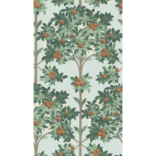 COLE & SON - ORANGE BLOSSOM- BURNT ORANGE/MINT/SEAFOAM - Wallcovering by the Roll BURNT ORANGE/MINT/SEAFOAM
