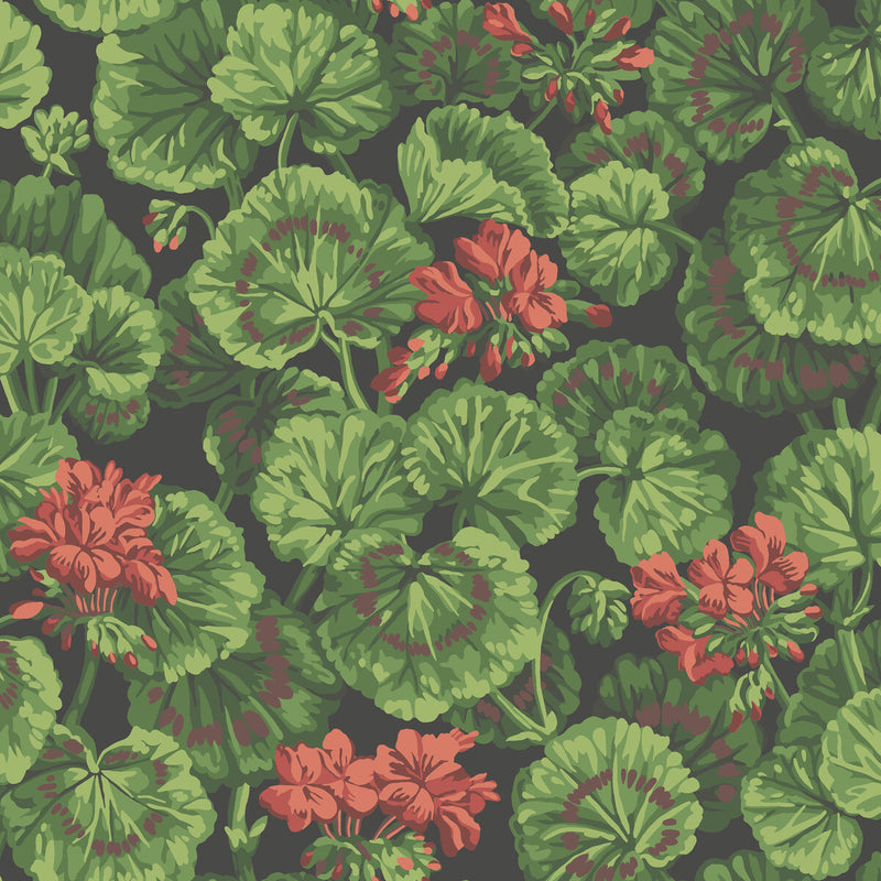 COLE & SON - GERANIUM- ROUGE & LEAF GREENS ON BLACK - Wallcovering by the Roll ROUGE & LEAF GREENS ON BLACK