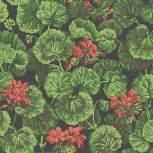COLE & SON - GERANIUM- ROUGE & LEAF GREENS ON BLACK - Wallcovering by the Roll ROUGE & LEAF GREENS ON BLACK