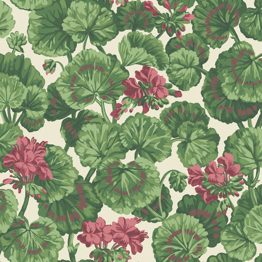 COLE & SON - GERANIUM- ROSE/FOREST GRN ON PARCHMENT  - Wallcovering by the Roll ROSE/FOREST GRN ON PARCHMENT