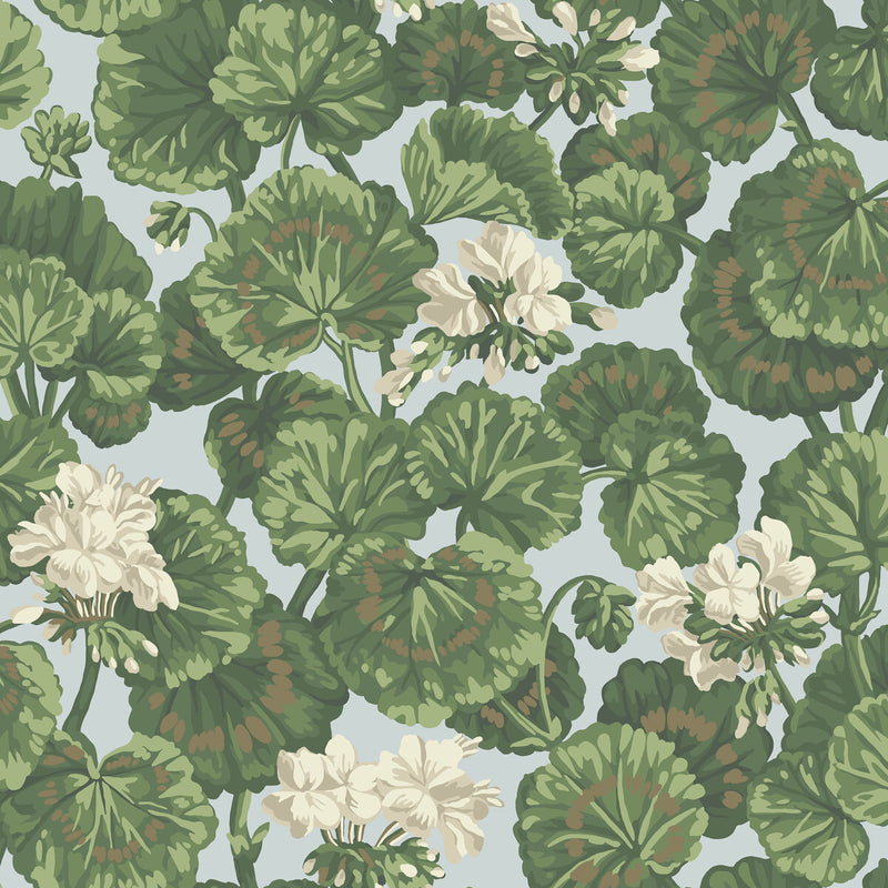 COLE & SON - GERANIUM- WHITE & SAGE ON SEAFOAM - Wallcovering by the Roll WHITE & SAGE ON SEAFOAM
