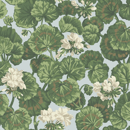 COLE & SON - GERANIUM- WHITE & SAGE ON SEAFOAM - Wallcovering by the Roll WHITE & SAGE ON SEAFOAM