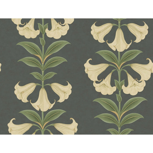 COLE & SON - ANGELS TRUMPET- CREAM/OLIVE GREEN/CHARCOAL - Wallcovering by the Roll CREAM/OLIVE GREEN/CHARCOAL