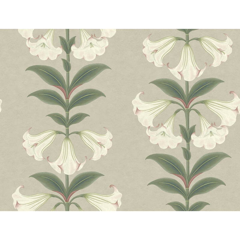 COLE & SON - ANGELS TRUMPET- CHALK & SAGE ON STONE - Wallcovering by the Roll CHALK & SAGE ON STONE
