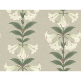 COLE & SON - ANGELS TRUMPET- CHALK & SAGE ON STONE - Wallcovering by the Roll
