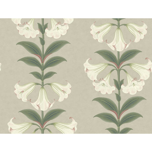 COLE & SON - ANGELS TRUMPET- CHALK & SAGE ON STONE - Wallcovering by the Roll CHALK & SAGE ON STONE