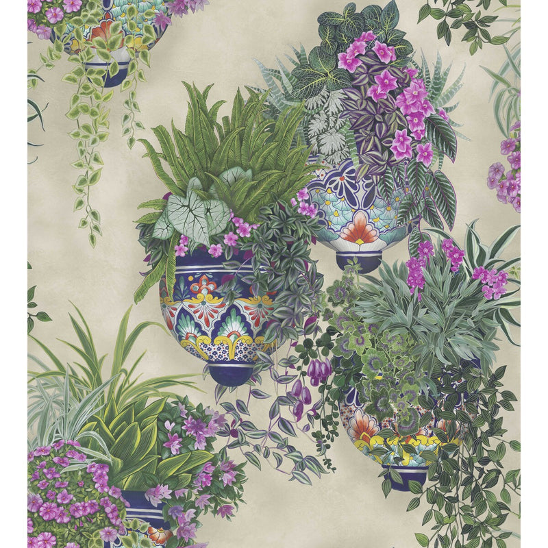 COLE & SON - TALAVERA WP- MAGENTA & SPRING GREENS ON STONE - Wallcovering by the Roll MAGENTA & SPRING GREENS ON STONE