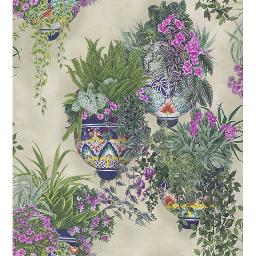 COLE & SON - TALAVERA WP- MAGENTA & SPRING GREENS ON STONE - Wallcovering by the Roll MAGENTA & SPRING GREENS ON STONE