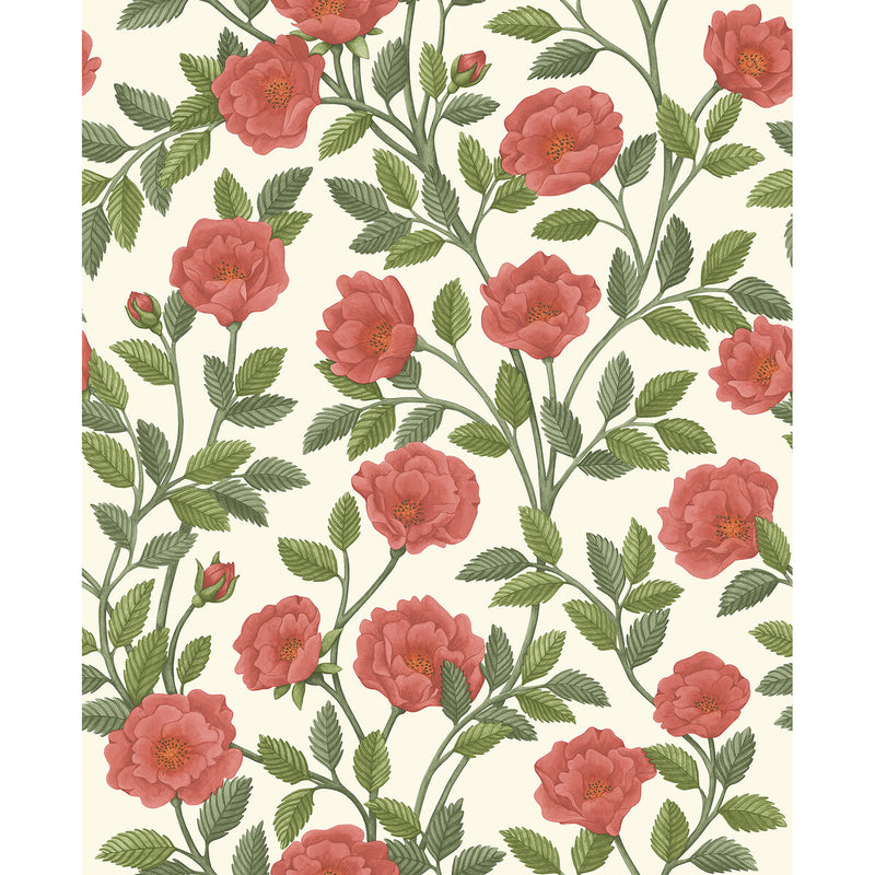 COLE & SON - HAMPTON ROSES- R&SGRN/PMNT - Wallcovering by the Roll R&SGRN/PMNT