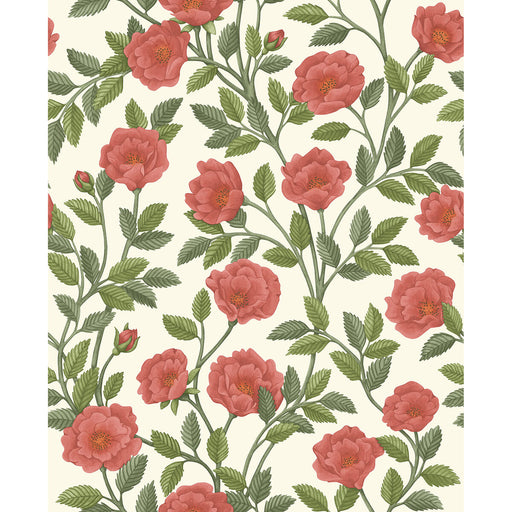 COLE & SON - HAMPTON ROSES- R&SGRN/PMNT - Wallcovering by the Roll R&SGRN/PMNT