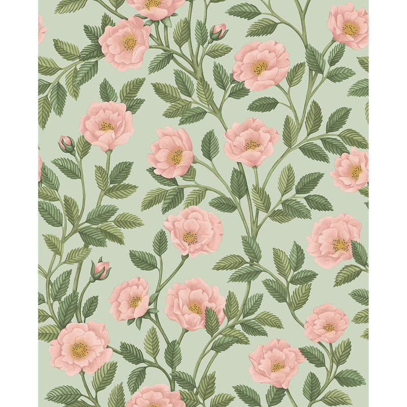 COLE & SON - HAMPTON ROSES- R&LGRN/DEGG - Wallcovering by the Roll R&LGRN/DEGG