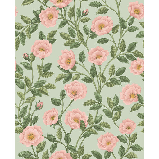 COLE & SON - HAMPTON ROSES- R&LGRN/DEGG - Wallcovering by the Roll R&LGRN/DEGG
