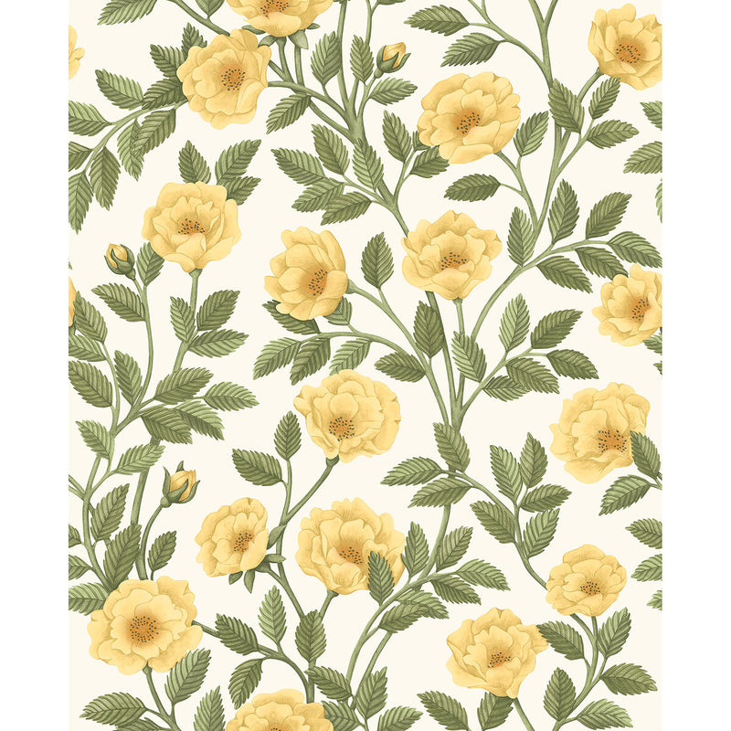 COLE & SON - HAMPTON ROSES- MRG&OGRN/WH - Wallcovering by the Roll MRG&OGRN/WH