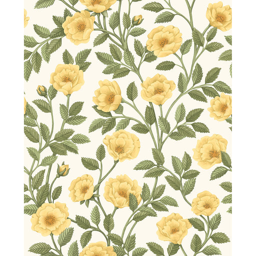 COLE & SON - HAMPTON ROSES- MRG&OGRN/WH - Wallcovering by the Roll MRG&OGRN/WH