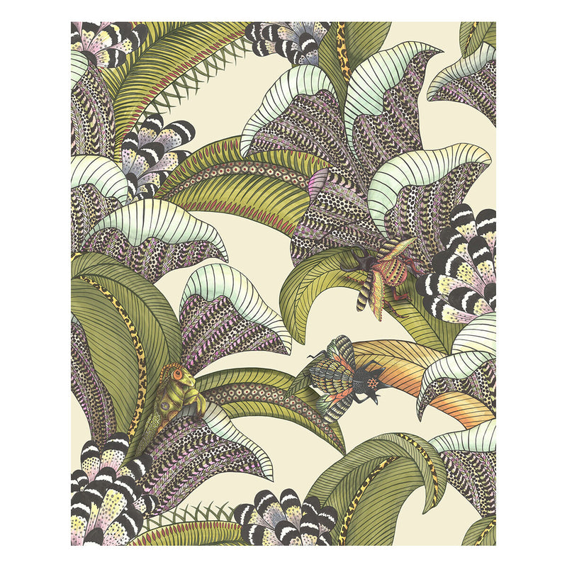 COLE & SON - HOOPOE LEAVES- OLIVE/CHART/FUCHSIA ON CREAM - Wallcovering by the Roll OLIVE/CHART/FUCHSIA ON CREAM