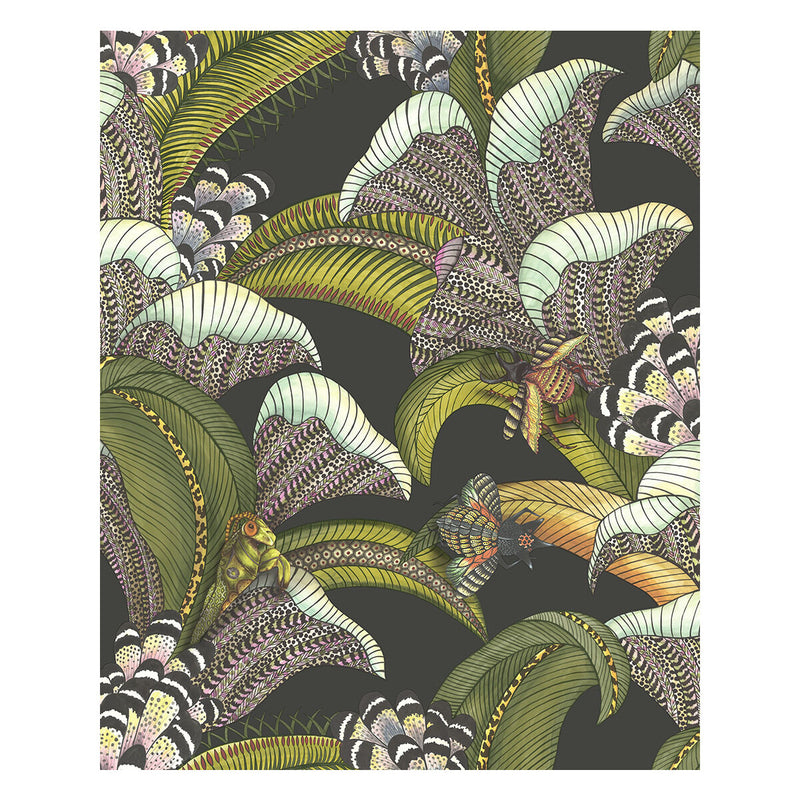 COLE & SON - HOOPOE LEAVES- OLIVE BLACK - Wallcovering by the Roll OLIVE BLACK