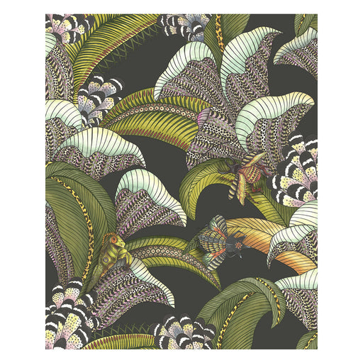 COLE & SON - HOOPOE LEAVES- OLIVE BLACK - Wallcovering by the Roll OLIVE BLACK