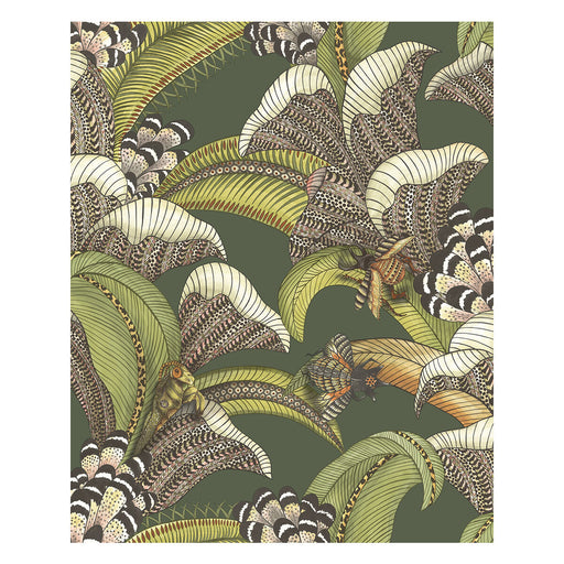 COLE & SON - HOOPOE LEAVES- SPRING GREEN AND CORAL - Wallcovering by the Roll SPRING GREEN AND CORAL
