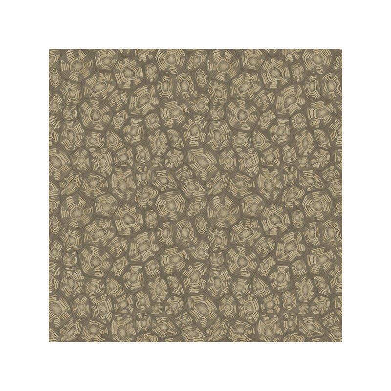 COLE & SON - SAVANNA SHELL- GILVER - Wallcovering by the Roll GILVER