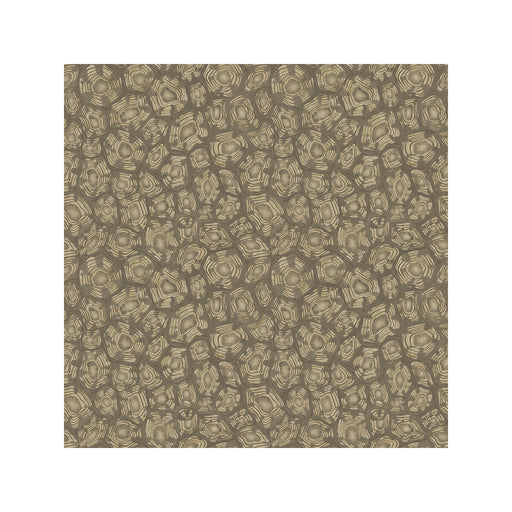 COLE & SON - SAVANNA SHELL- GILVER - Wallcovering by the Roll GILVER
