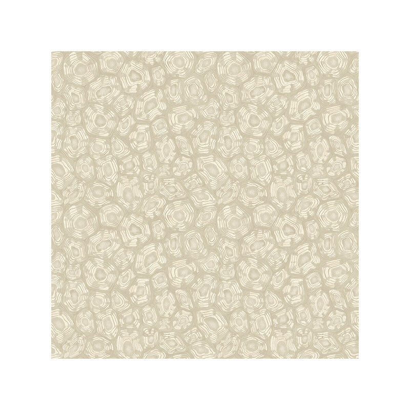 COLE & SON - SAVANNA SHELL- PARCHMENT - Wallcovering by the Roll PARCHMENT