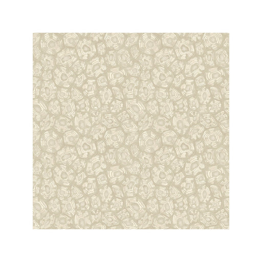 COLE & SON - SAVANNA SHELL- PARCHMENT - Wallcovering by the Roll PARCHMENT