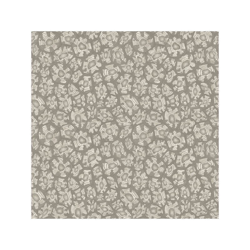 COLE & SON - SAVANNA SHELL- TAUPE - Wallcovering by the Roll TAUPE