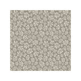 COLE & SON - SAVANNA SHELL- TAUPE - Wallcovering by the Roll