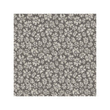COLE & SON - SAVANNA SHELL- SOOT - Wallcovering by the Roll