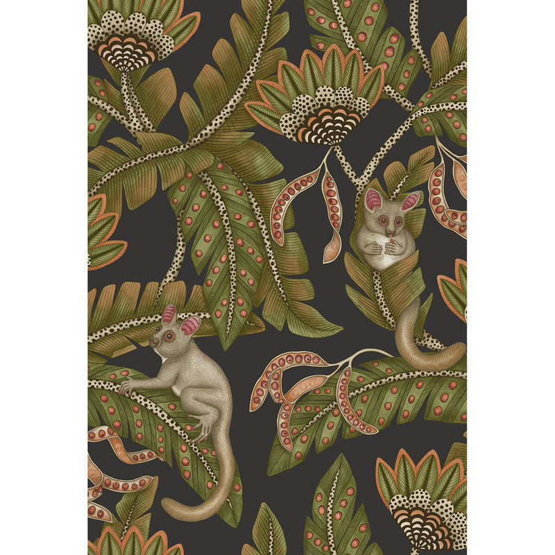 COLE & SON - BUSH BABY- SPGRN&ORNG/BLCK - Wallcovering by the Roll SPGRN&ORNG/BLCK