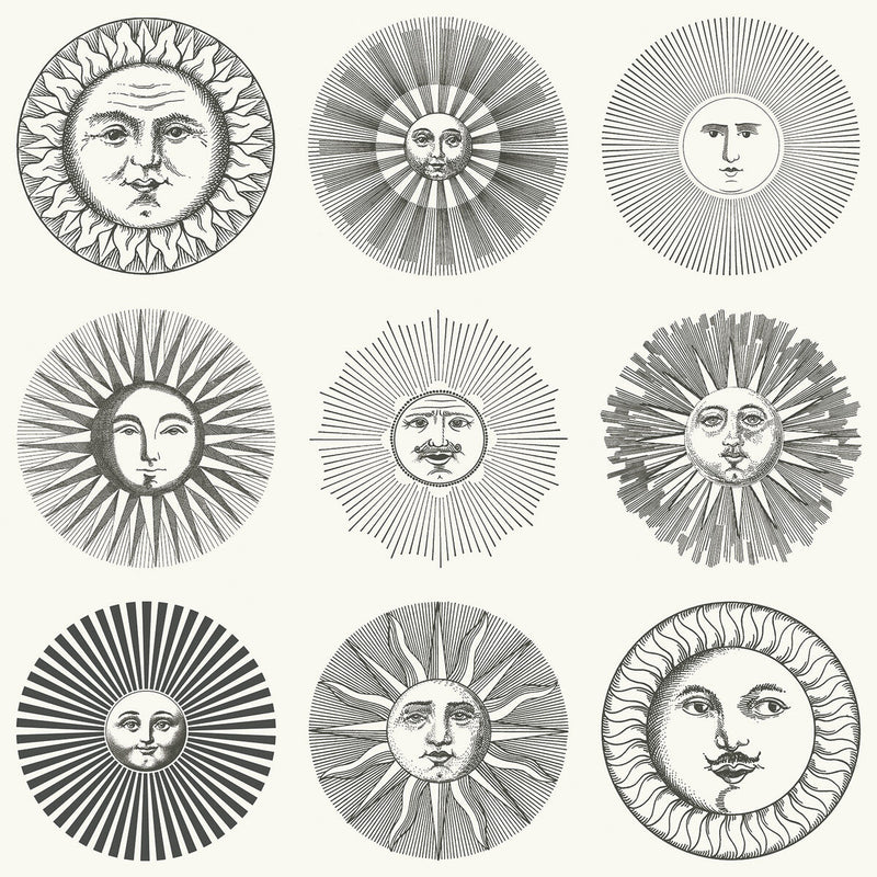 COLE & SON - SOLI- BLACK & WHITE - Wallcovering by the Roll BLACK & WHITE