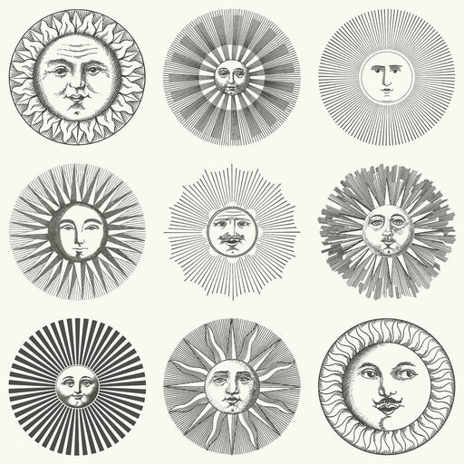 COLE & SON - SOLI- BLACK & WHITE - Wallcovering by the Roll BLACK & WHITE