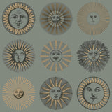 COLE & SON - SOLI- SAGE & ROSE GOLD - Wallcovering by the Roll