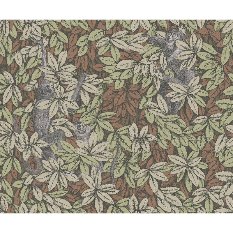 COLE & SON - FOGLIE E SCIMMIE- ORANGE - Wallcovering by the Roll ORANGE