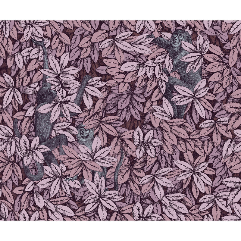 COLE & SON - FOGLIE E SCIMMIE- BLUSH - Wallcovering by the Roll BLUSH